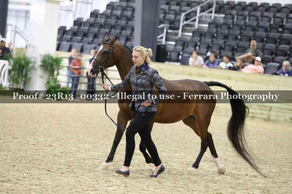 Proof 23R13_00332