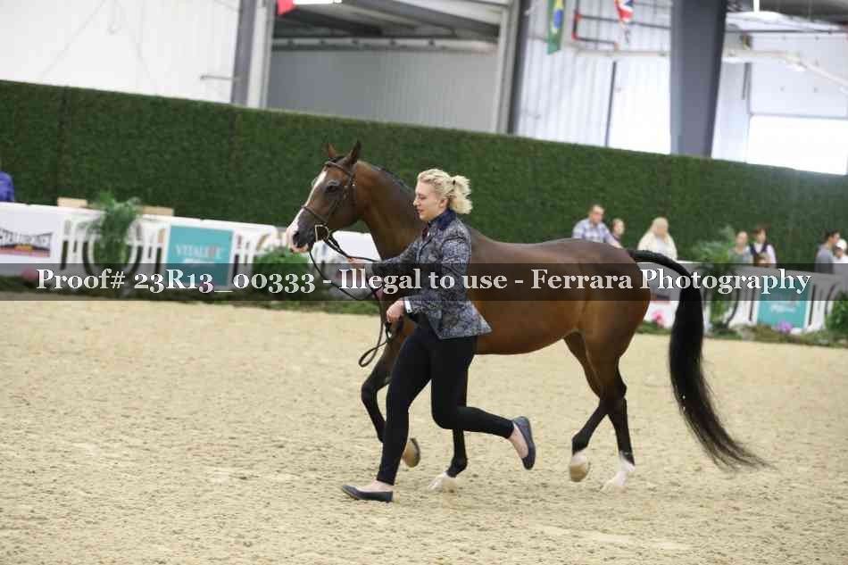 Proof 23R13_00333
