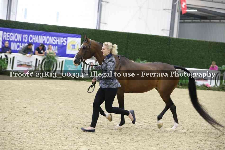 Proof 23R13_00334