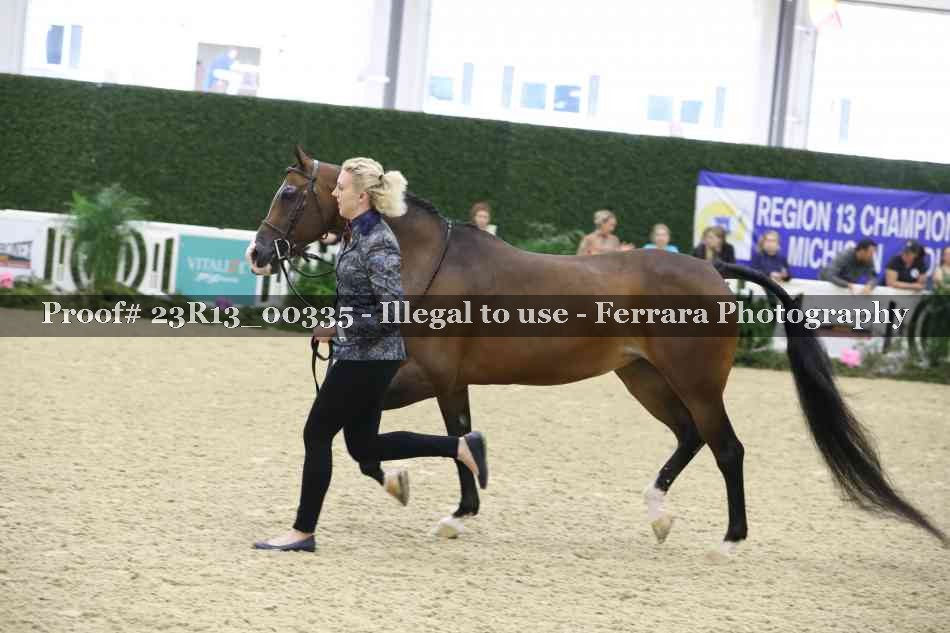 Proof 23R13_00335