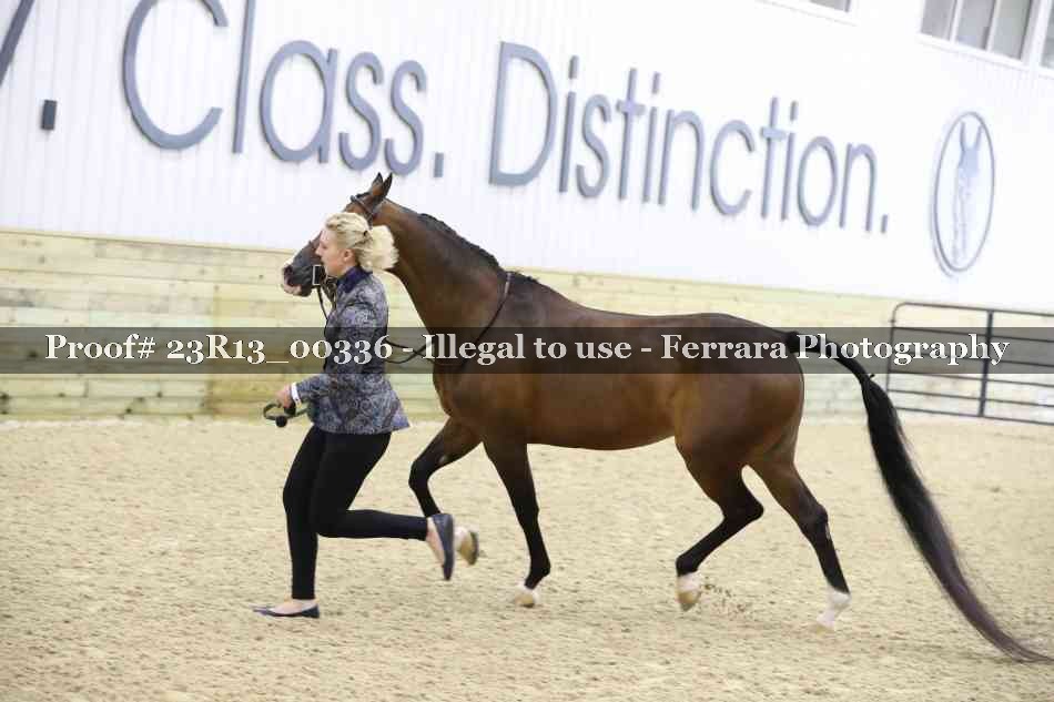 Proof 23R13_00336