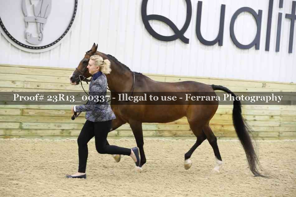 Proof 23R13_00337