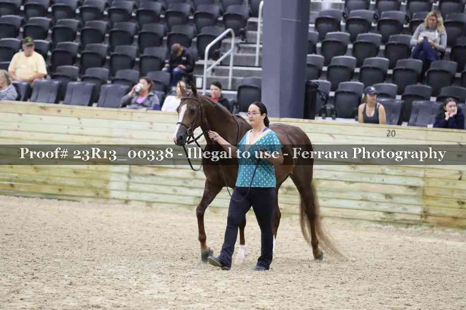 Proof 23R13_00338