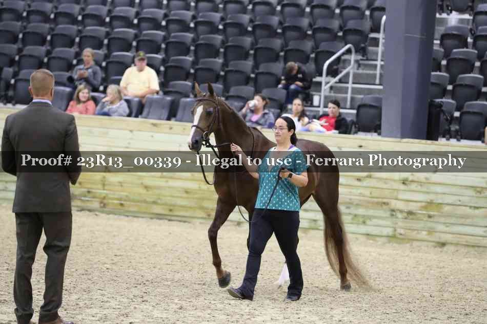Proof 23R13_00339