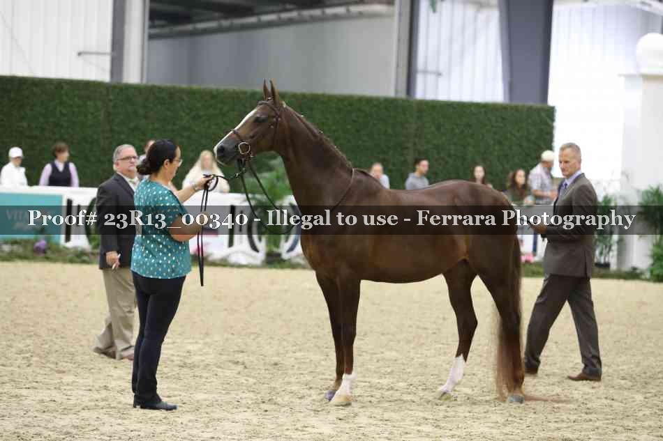 Proof 23R13_00340