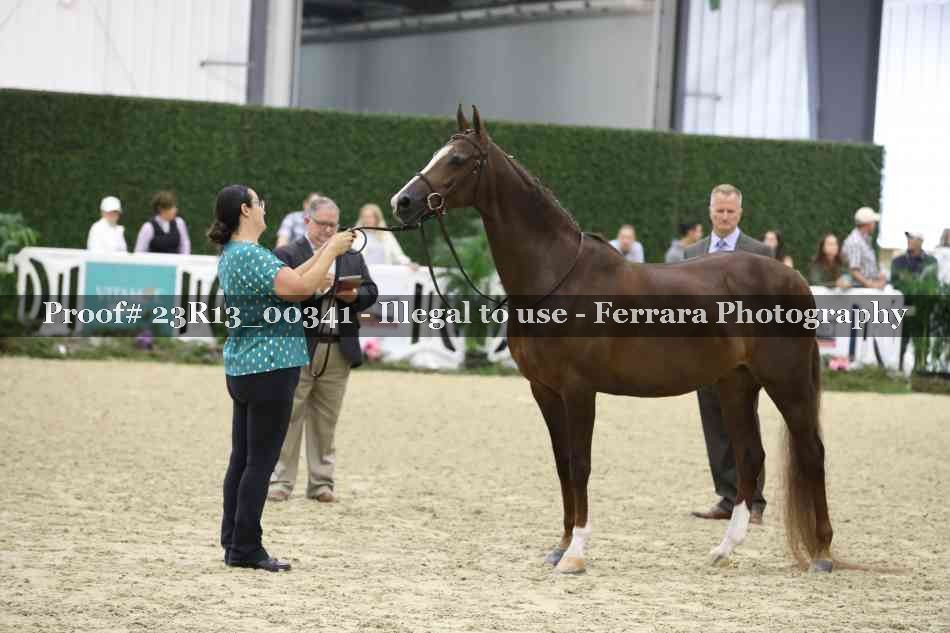 Proof 23R13_00341