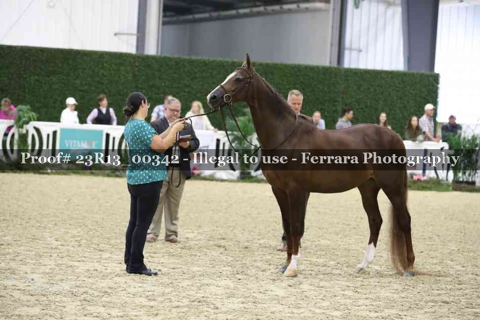 Proof 23R13_00342