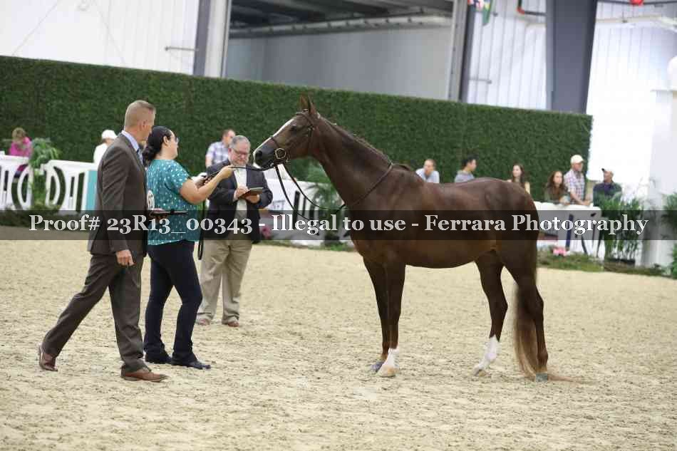 Proof 23R13_00343