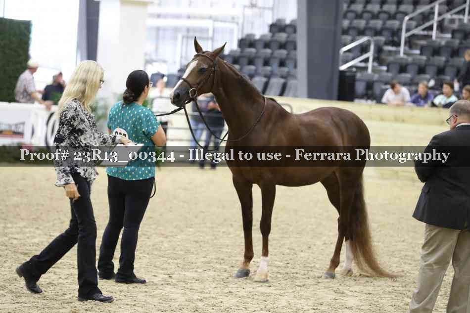 Proof 23R13_00344
