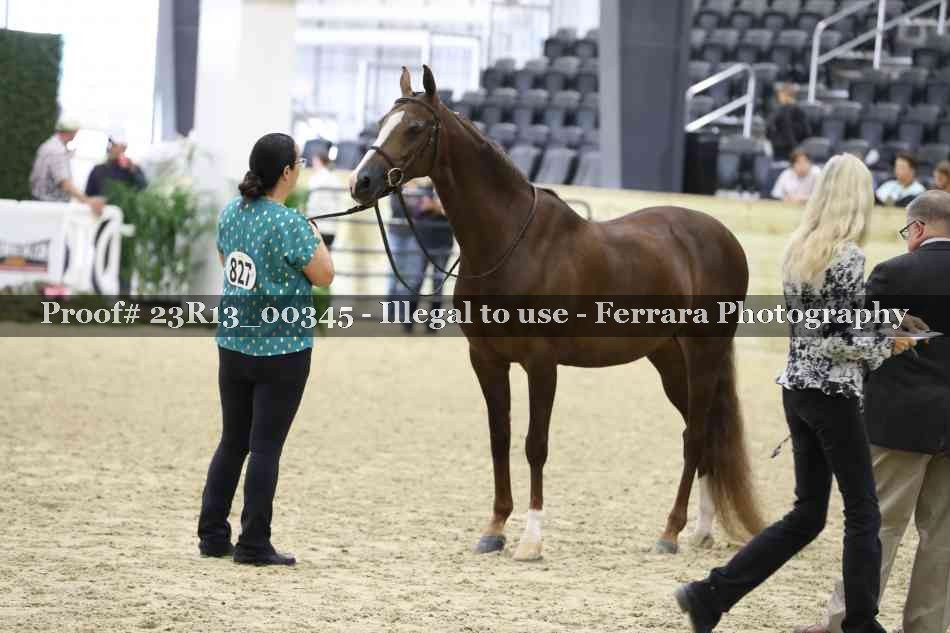 Proof 23R13_00345