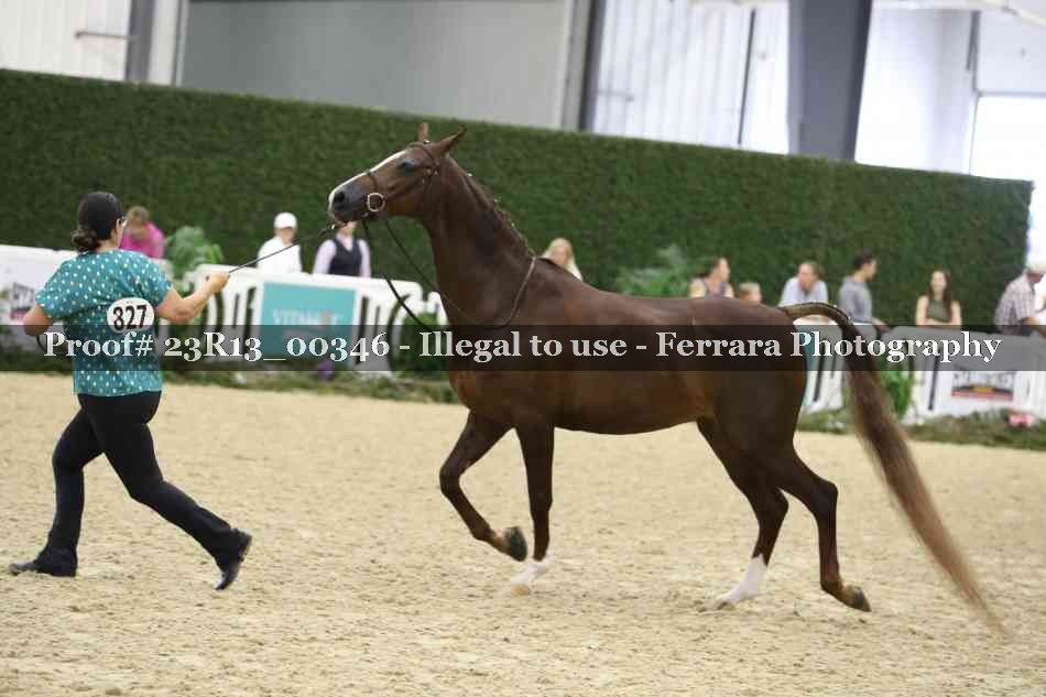 Proof 23R13_00346