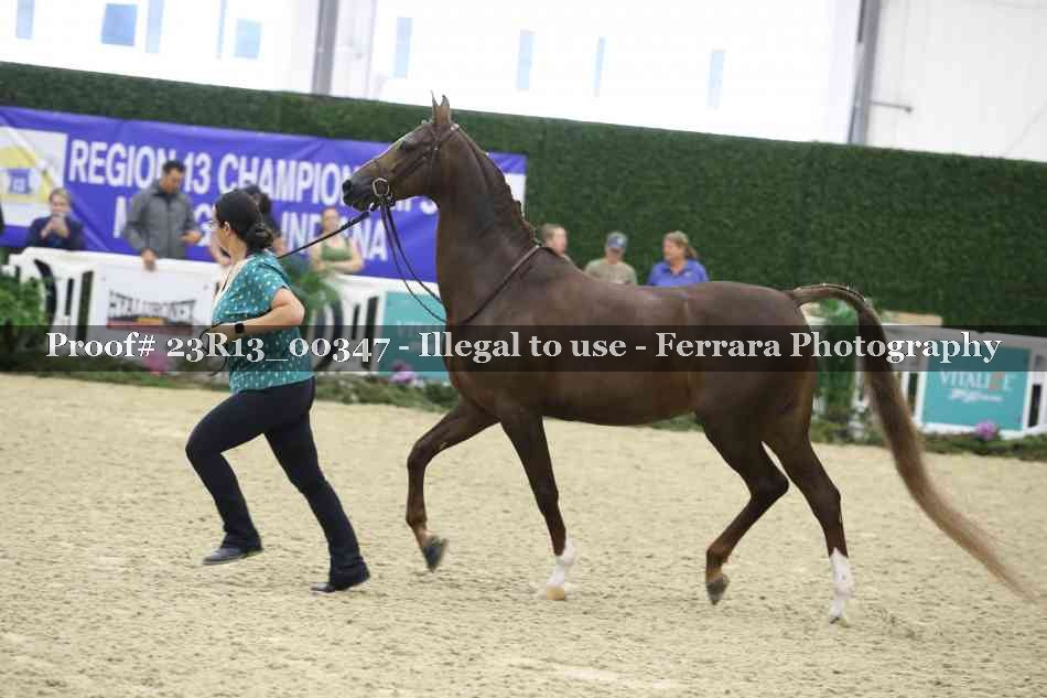 Proof 23R13_00347