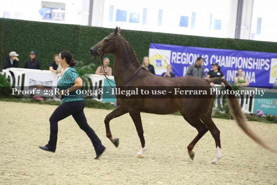 Proof 23R13_00348