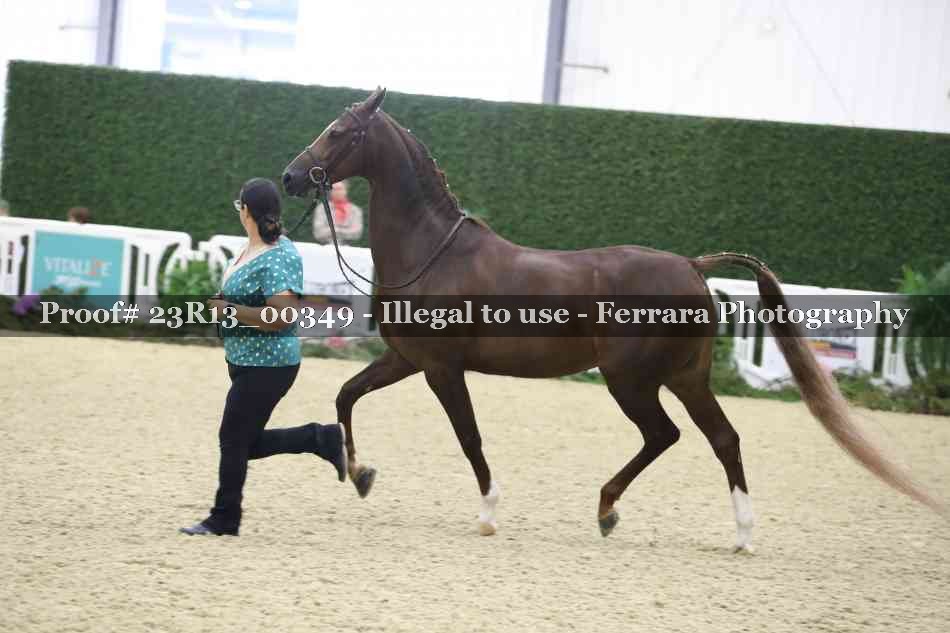 Proof 23R13_00349
