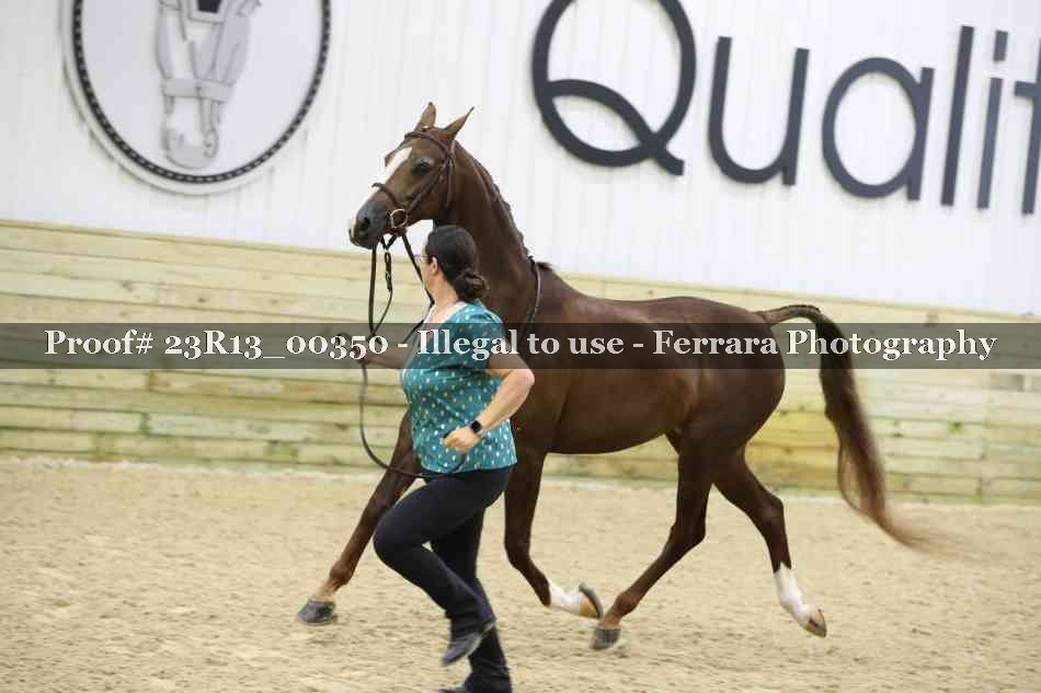 Proof 23R13_00350