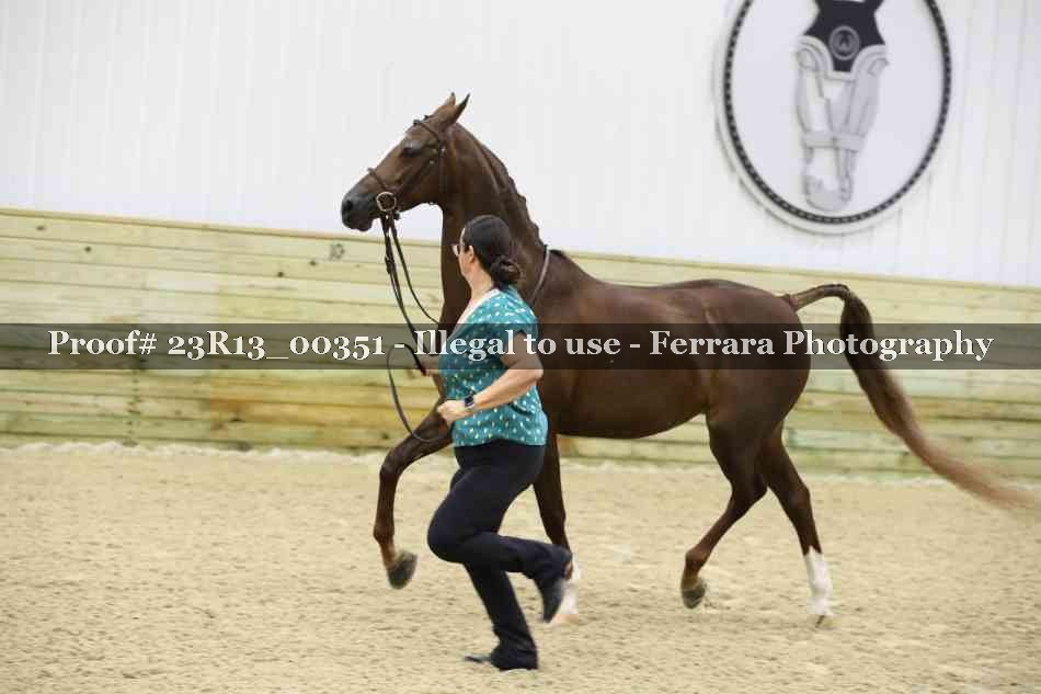 Proof 23R13_00351