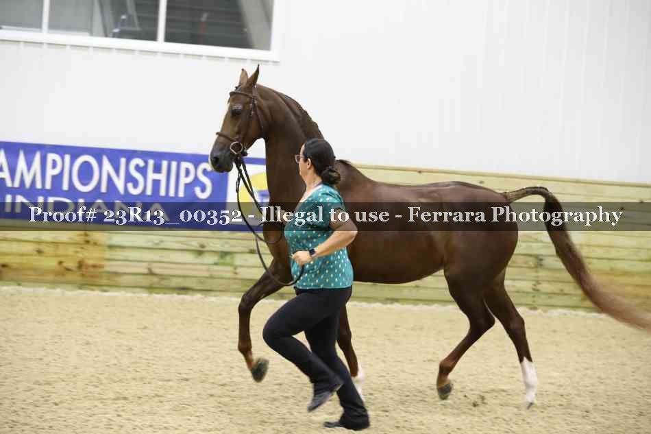 Proof 23R13_00352