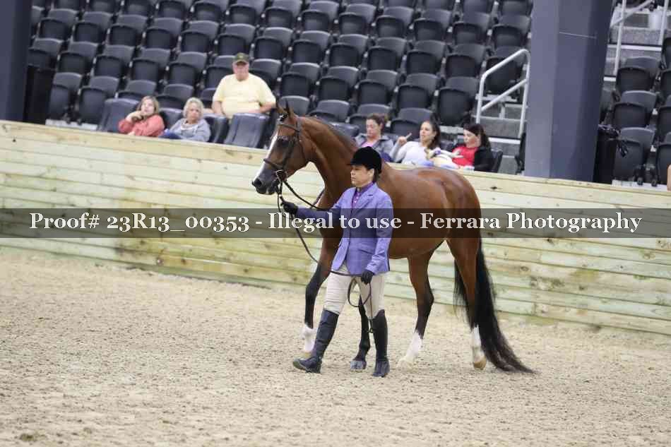 Proof 23R13_00353