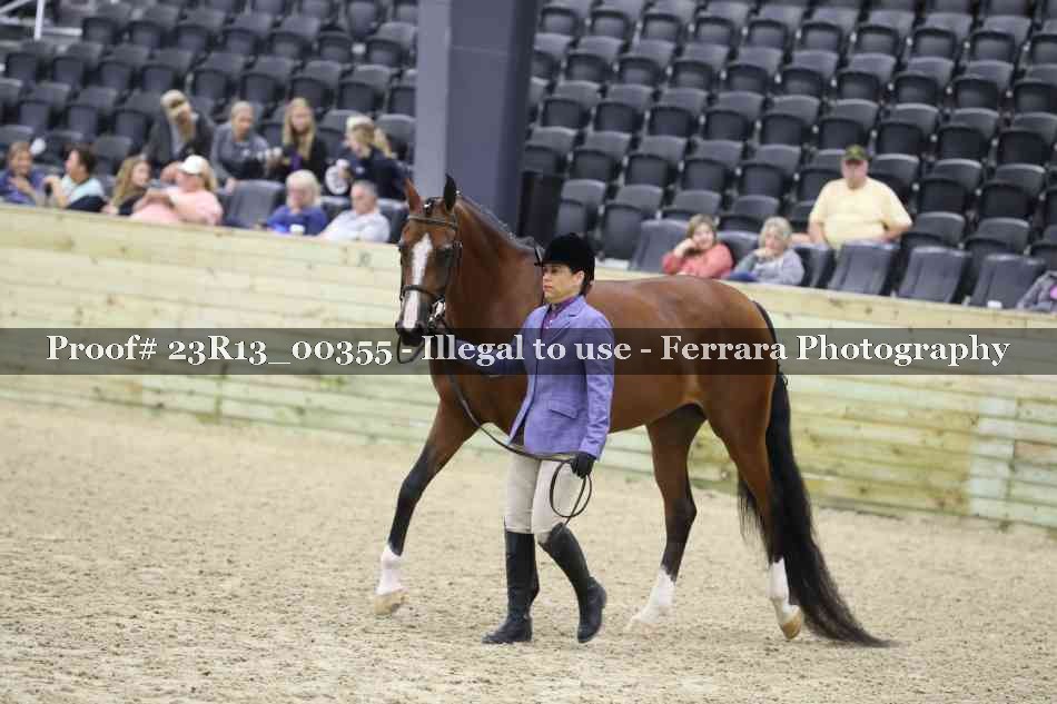 Proof 23R13_00355