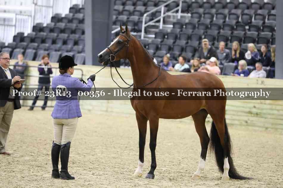 Proof 23R13_00356