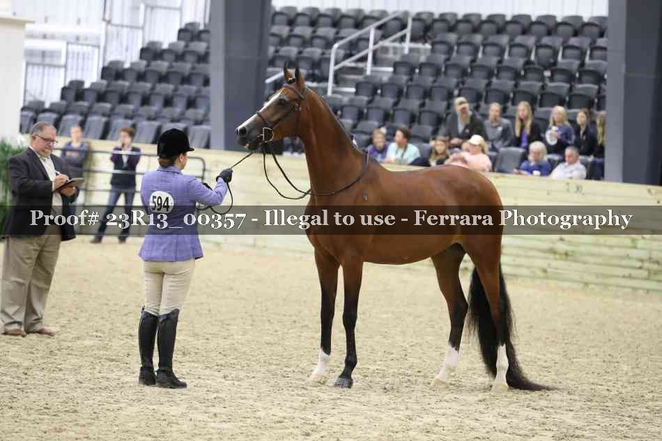 Proof 23R13_00357