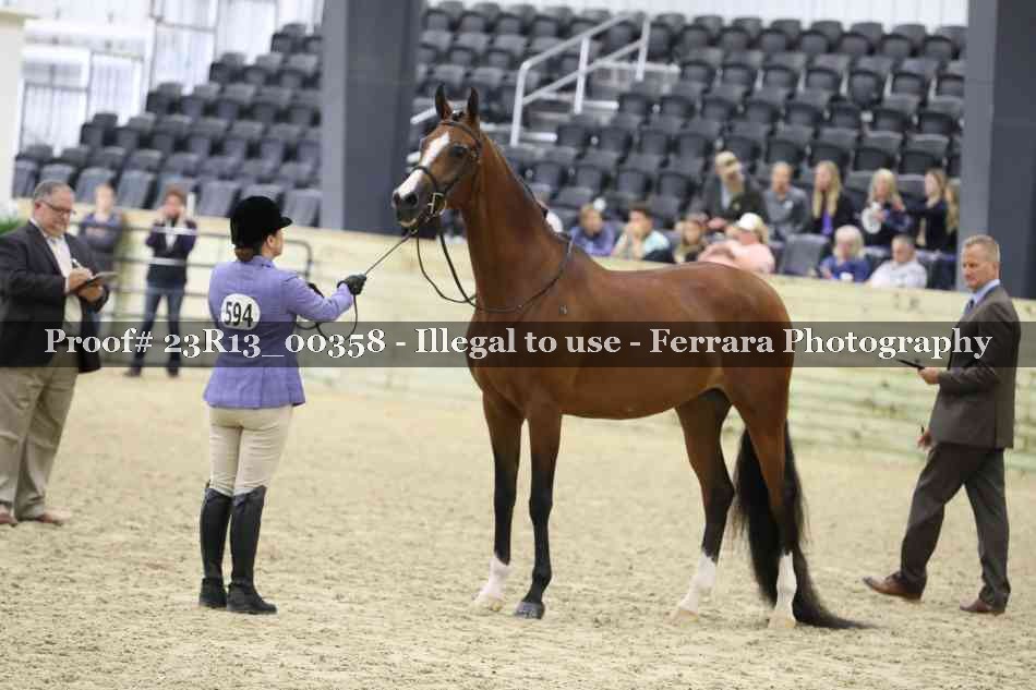 Proof 23R13_00358
