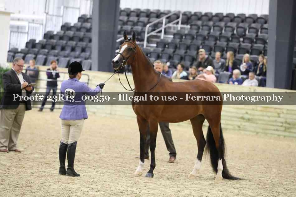 Proof 23R13_00359