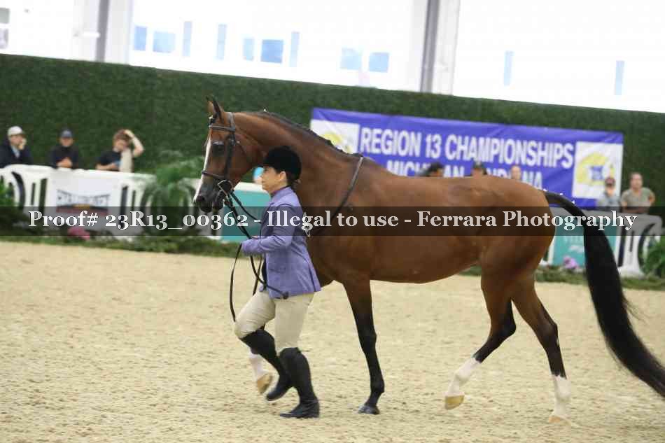 Proof 23R13_00362