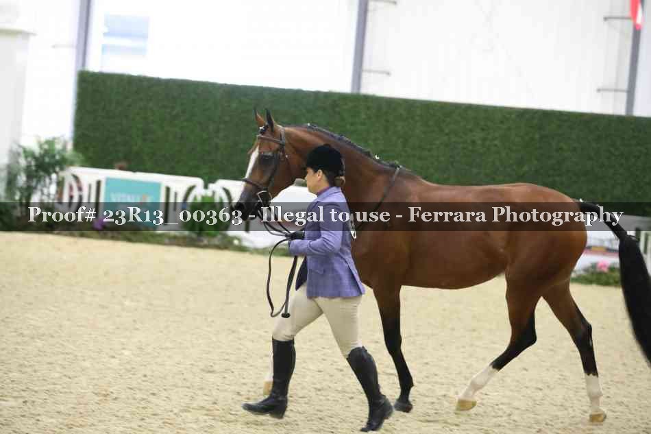 Proof 23R13_00363