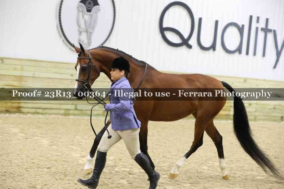 Proof 23R13_00364