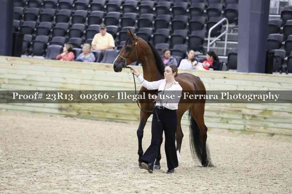 Proof 23R13_00366