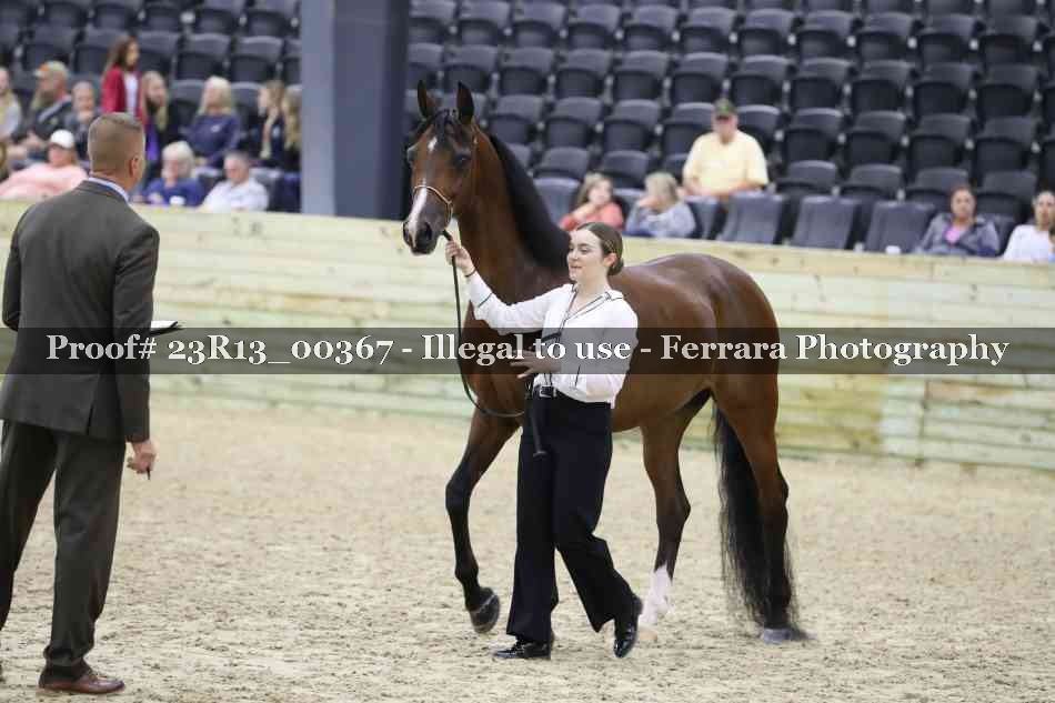 Proof 23R13_00367