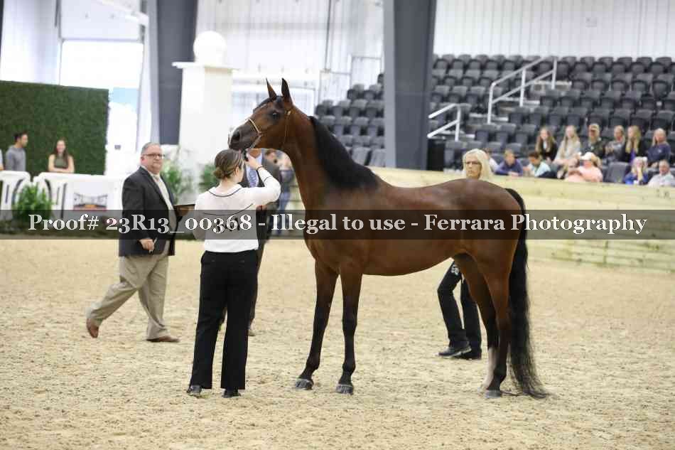 Proof 23R13_00368