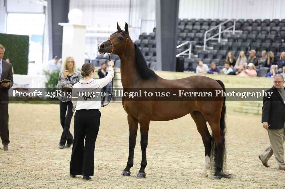 Proof 23R13_00370