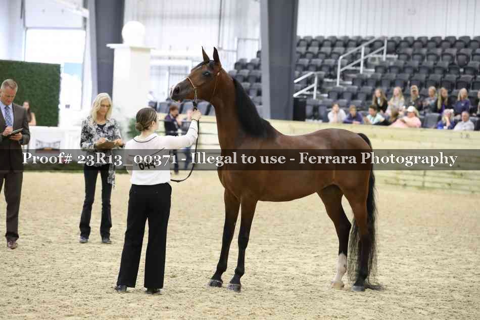 Proof 23R13_00371