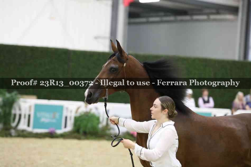 Proof 23R13_00372