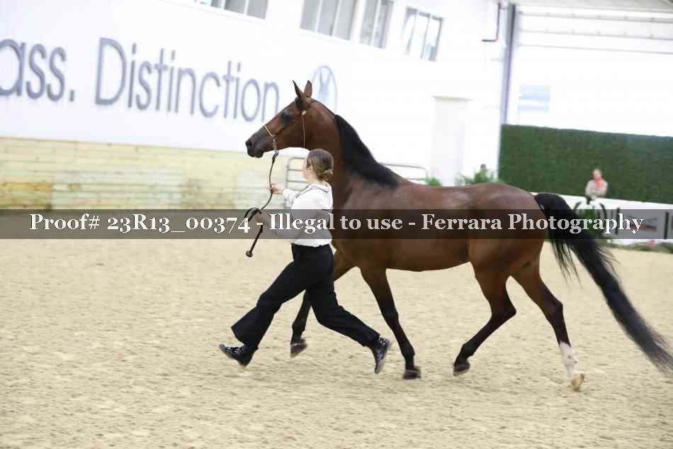 Proof 23R13_00374