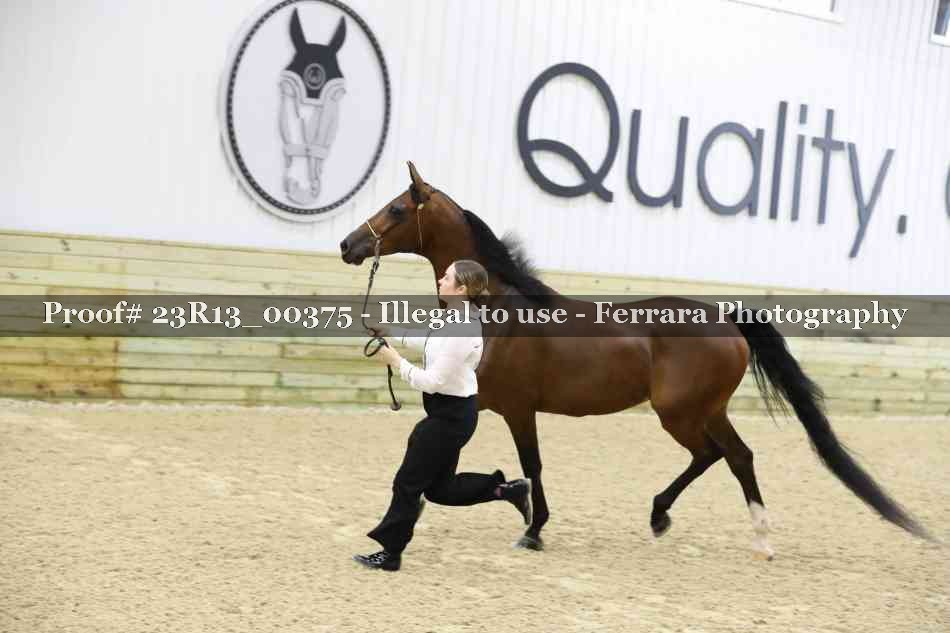 Proof 23R13_00375