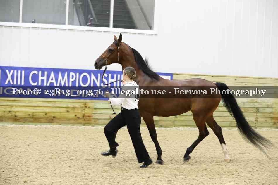 Proof 23R13_00376
