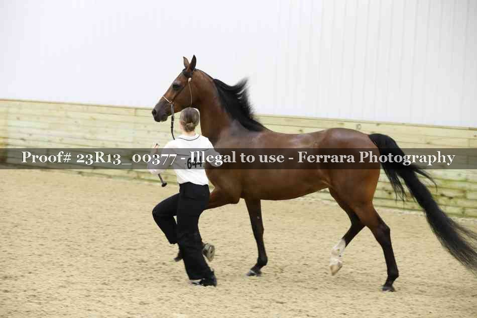 Proof 23R13_00377