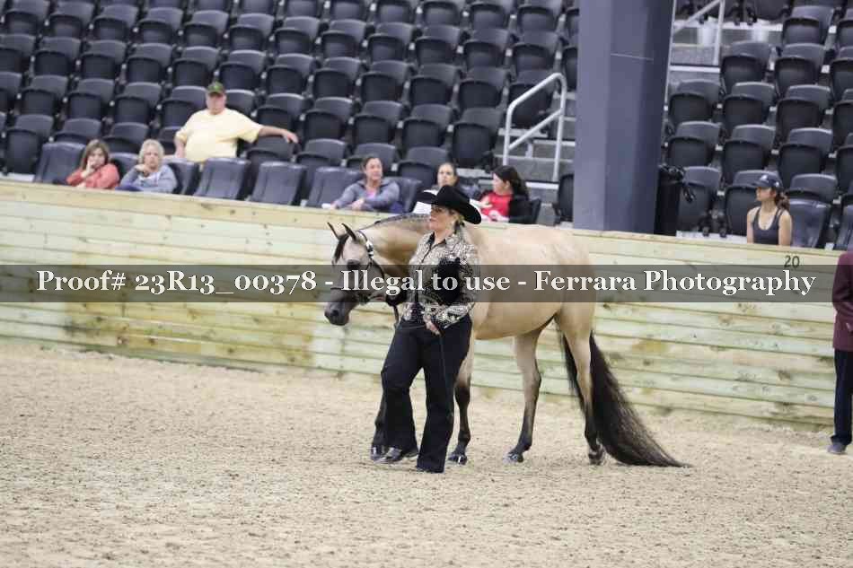 Proof 23R13_00378