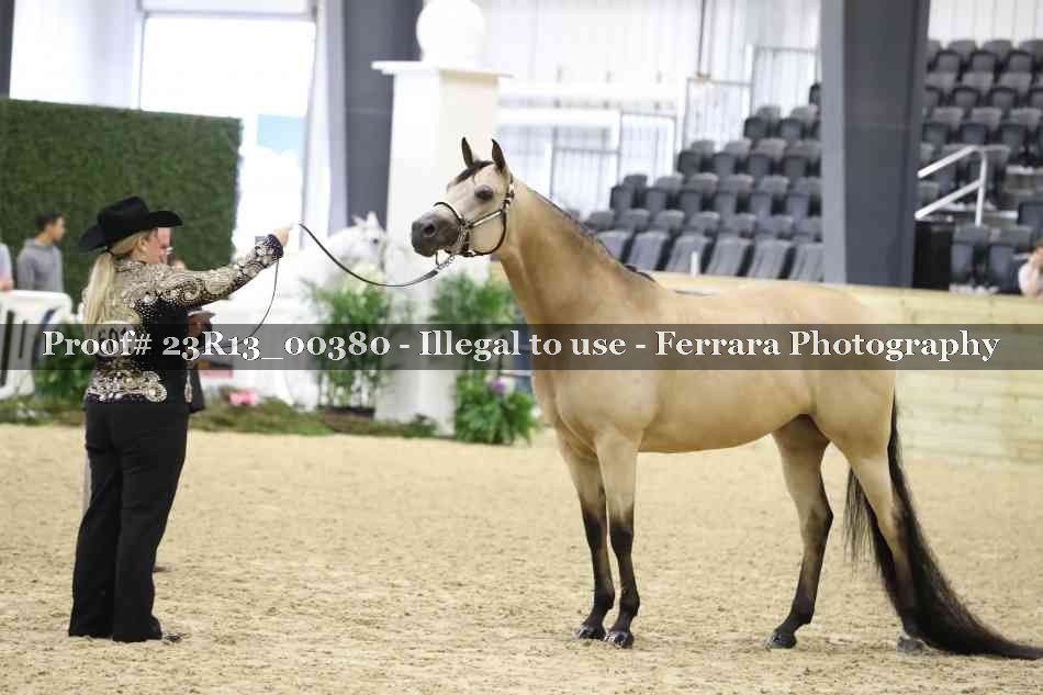 Proof 23R13_00380