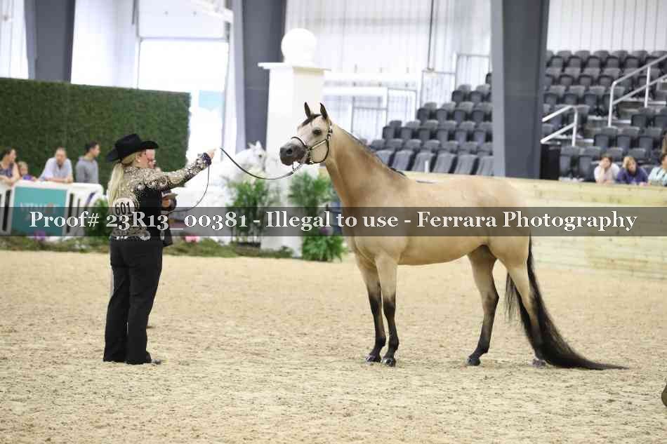 Proof 23R13_00381
