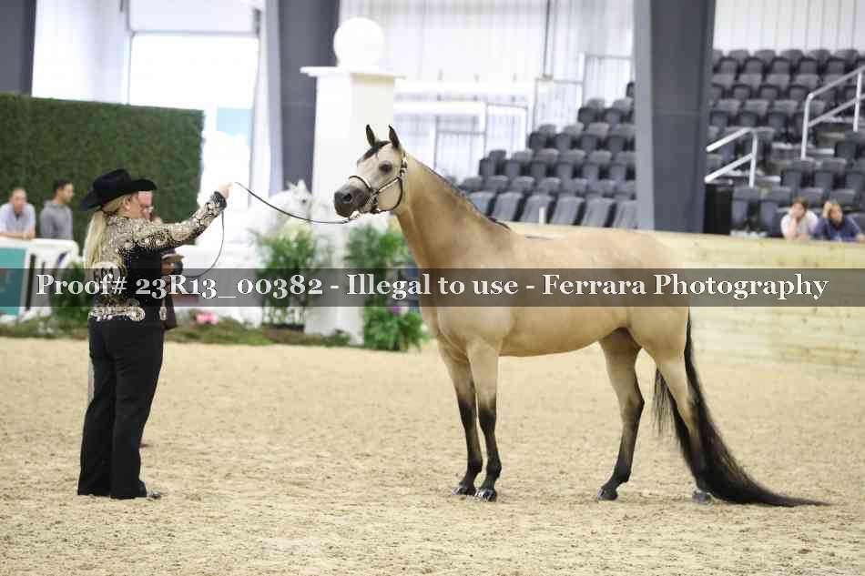 Proof 23R13_00382