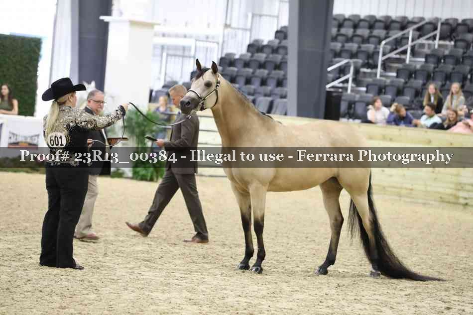 Proof 23R13_00384
