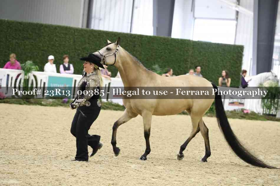 Proof 23R13_00385