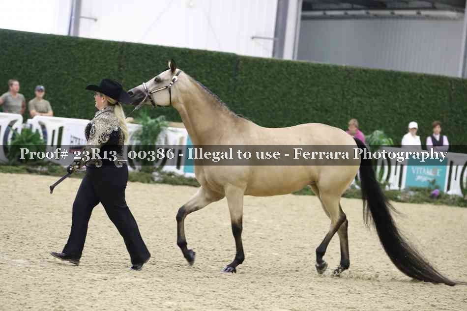 Proof 23R13_00386