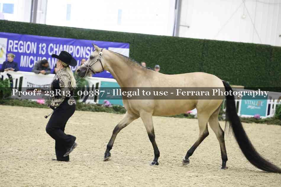 Proof 23R13_00387
