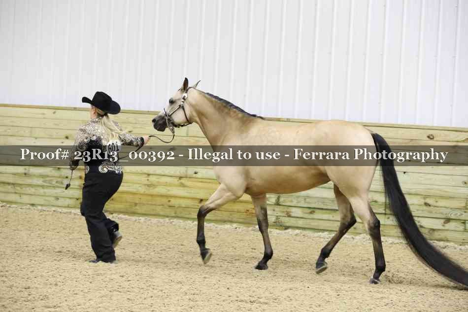 Proof 23R13_00392