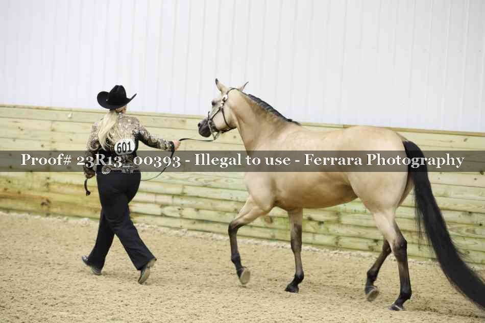 Proof 23R13_00393